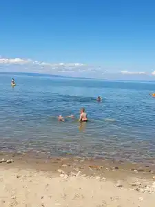 Выдрино - 1