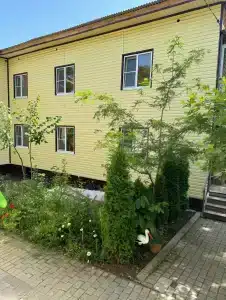 Дом Надежды с енотами - 7