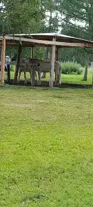 Пай-Тыт - 32