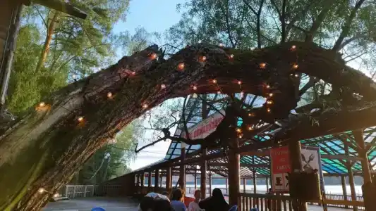 Романтик - 39