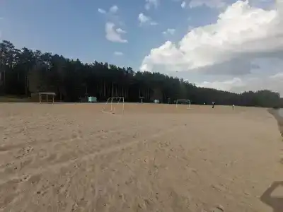 Сосновый бор - 23