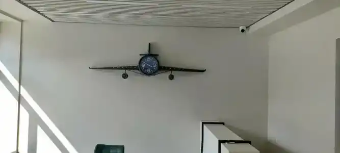 Родина Аэро - 11