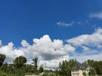 Березовка - 81