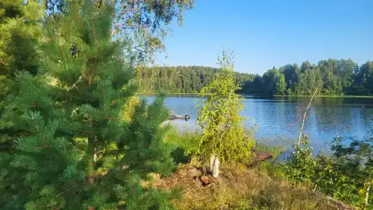 Форт Верный - 94