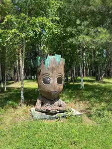 Центр Курма - 27