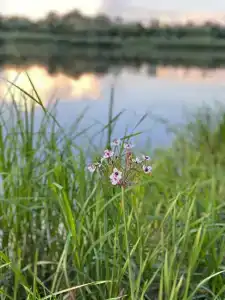 Ясно-Красно - 46