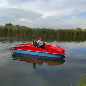Давидашен - 29