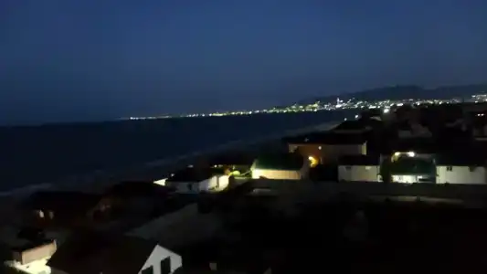 Атлант Экзотик - 57