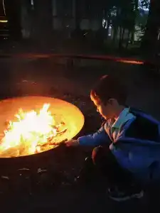 Зеленый бор - 4
