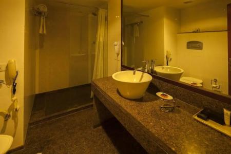 Vesta Maurya Palace - 97