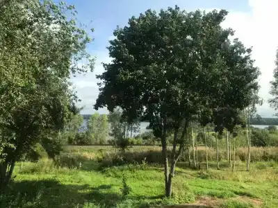 Зимнегорье - 46