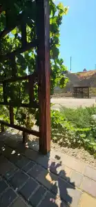 Вариант Омега - 38