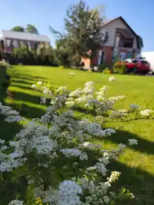 Постоялый Двор - 29