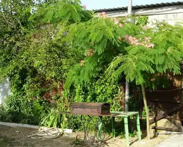 Дольче Вита - 6