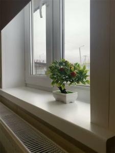 Пол&Пути - 36