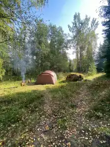 Глушь - 10