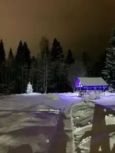 Хутор Васильевых - 49