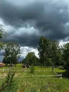 Драйв - 25