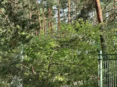 Кувшинка - 10