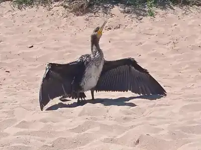 Азов Бриз - 17