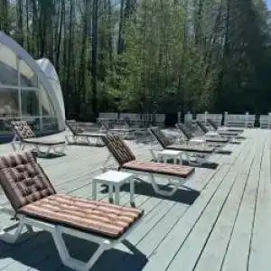 Гуси-Лебеди - 69