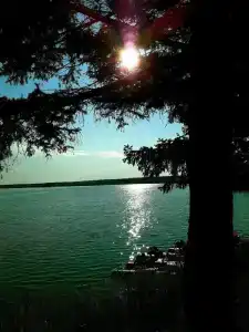 Бузим Красноярск - 36