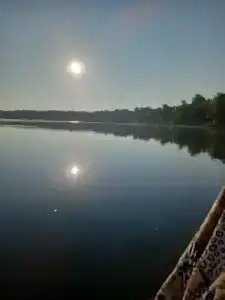 ГринЛандия - 26