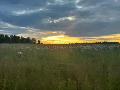 Медвежье урочище - 38