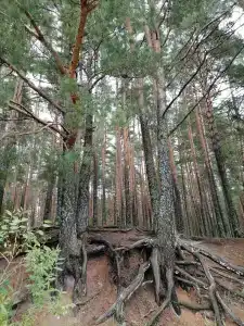 Кемпинг на Кошелеве - 17