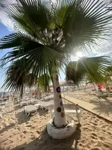 Blue Wave Suite - 99