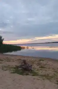 Росинка - 6