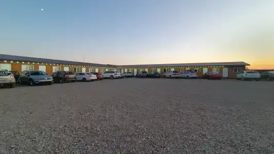Феникс - 14