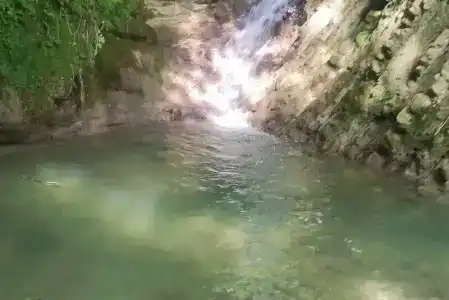 Гостевой дом у Кедра - 36