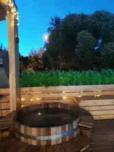 Аквафорест - 6