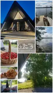 Зайкина дача - 74