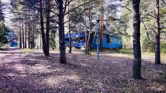 Волна - 39