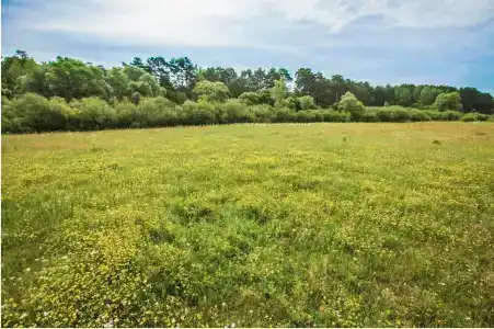 Славянка - 24