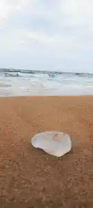 База отдыха у Петровича - 66