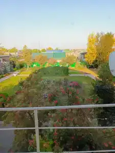 Рябинушка - 34