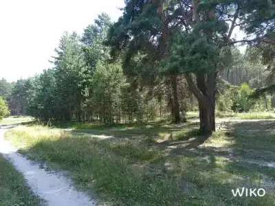 Белые бугры - 79