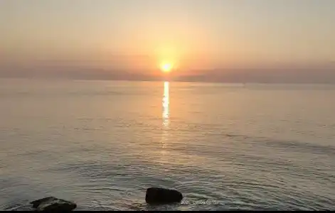 Жемчужный - 30