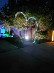 Сокольники - 83