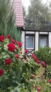 Скворечник - 21