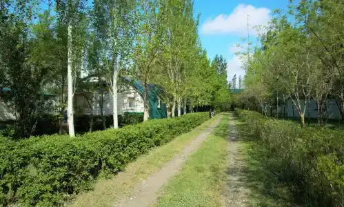 Волга-Каспий-2001 - 6