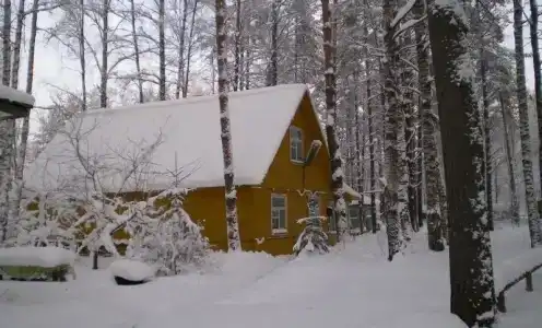 Холодный ручей - 28