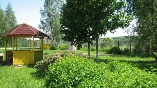 Крыжовка - 4