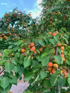 Место Встречи - 13