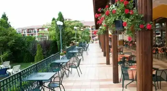 Hrizantema - All Inclusive - 1