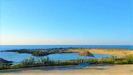 Zorbas Beach Village - 75