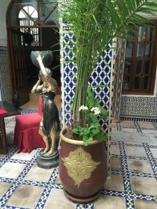 Riad & Spa Esprit Du Maroc - 12